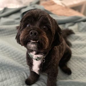 Meet your Posher, Heather